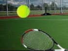 Tenis Topu Sektir